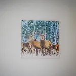 U Chycow דירה ביאלי דונאייק