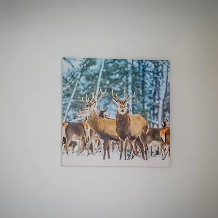 U Chycow Apartman Biały Dunajec