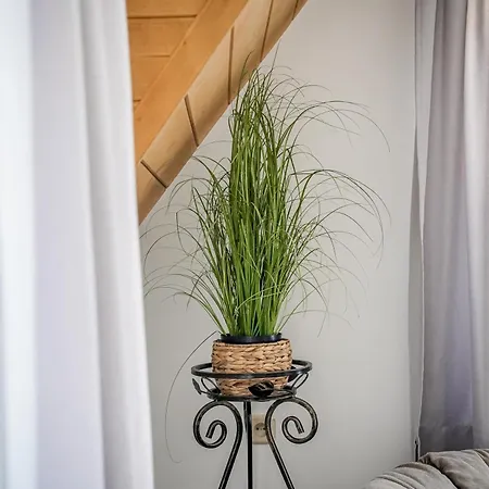 Apartman U Chycow Biały Dunajec